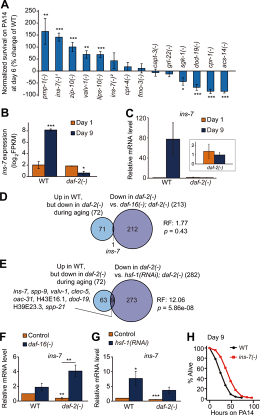 Figure 4. Refer to the image caption for details.