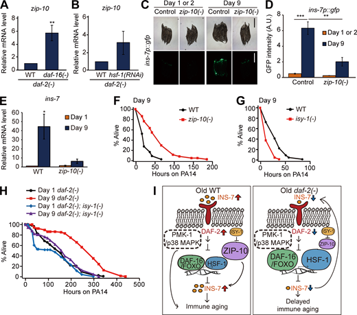 Figure 5. Refer to the image caption for details.