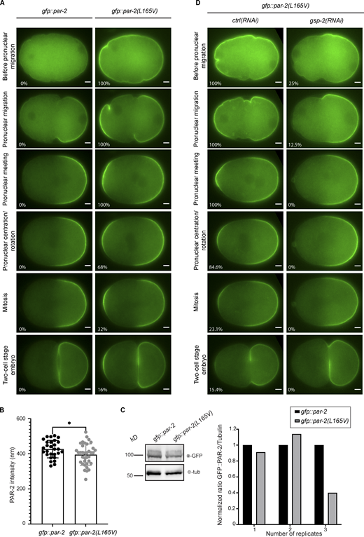 Figure 5. Refer to the image caption for details.