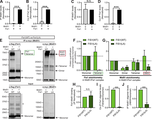 Figure 4. Refer to the image caption for details.