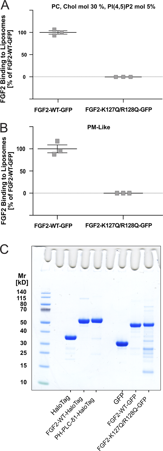 Figure S1. Refer to the image caption for details.