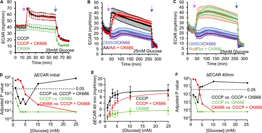 Changes in ECAR in MEFs after mitochondrial inhibitor treatments. (A) ECAR (± SD) upon 100 µM CK666, 1 µM CCCP or 1 µM CCCP + 100 µM CK666 addition (15 min), followed by 50 mM 2-DG (59 min) in 25 mM glucose medium without serum. n = 3 individual well measurements for CCCP and CK666; 4 for CCCP + CK666. Pink arrow indicates drug treatment and blue arrow indicates 2-DG treatment. (B) ECAR (± SD) upon DMSO, 100 µM CK666, 2.5 µM antimycin A or 2.5 µM antimycin A + 100 µM CK666 addition (33 min), then 50 mM 2-DG (258 min) in 25 mM glucose medium without serum. n = 5 individual well measurements per condition. Pink arrow indicates drug treatment and blue arrow indicates 2-DG treatment. (C) ECAR (± SD) upon DMSO, 100 µM CK666, 5 µM rotenone or 5 µM rotenone + 100 µM CK666 addition (33 min), then 50 mM 2-DG (258 min) in 25 mM glucose medium without serum. n = 5 individual well measurements per condition. Pink arrow indicates drug treatment and blue arrow indicates 2-DG treatment. (D) P values for comparisons between individual curves in Fig. 3 F. Statistical significance was calculated by two-way ANOVA using Tukey’s multiple comparisons test. (E) Effect of glucose concentration (± SD) on prolonged ECAR increase (after 40 min) induced by 1 µM CCCP or 1 µM CCCP + 100 µM CK666 in MEFs. n = 9 individual well measurements for CCCP and CK666; 12 for CCCP + CK666. P values graphed in F. (F) P values for comparisons between individual curves in E. Statistical significance was calculated by two-way ANOVA using Tukey’s multiple comparisons test. Number of experiments, statistical tests, and sample sizes are provided in Table S1. Refer to the image caption for details.