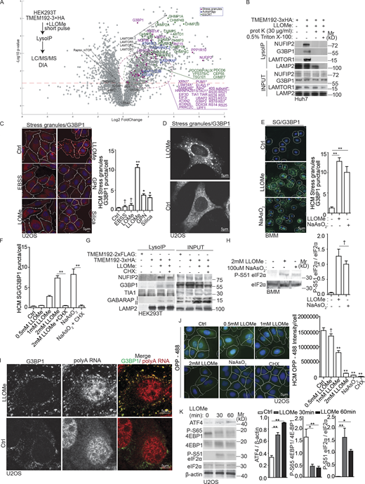 Figure 1. Refer to the image caption for details.