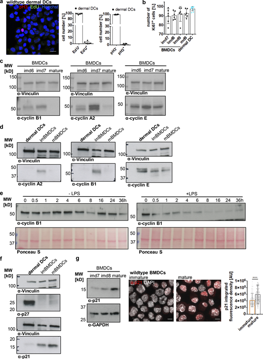 Figure 3. Refer to the image caption for details.
