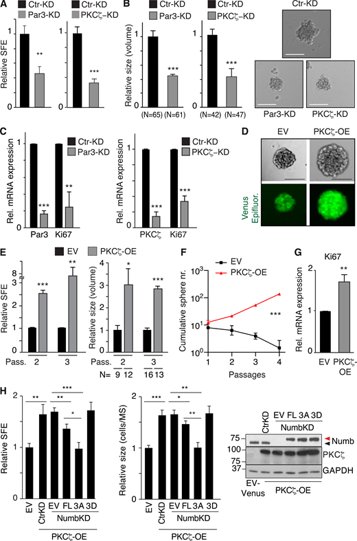 Figure 4. Refer to the image caption for details.