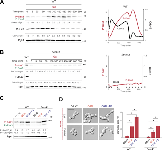 Figure 5. Refer to the image caption for details.