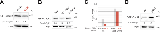 Figure S1. Refer to the image caption for details.
