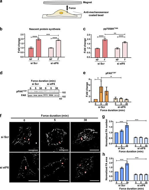 Figure 3. Refer to the image caption for details.