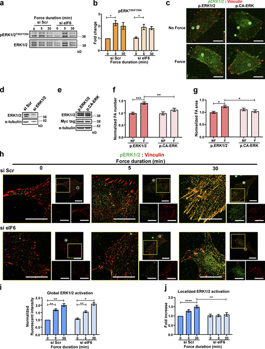 Figure 5. Refer to the image caption for details.