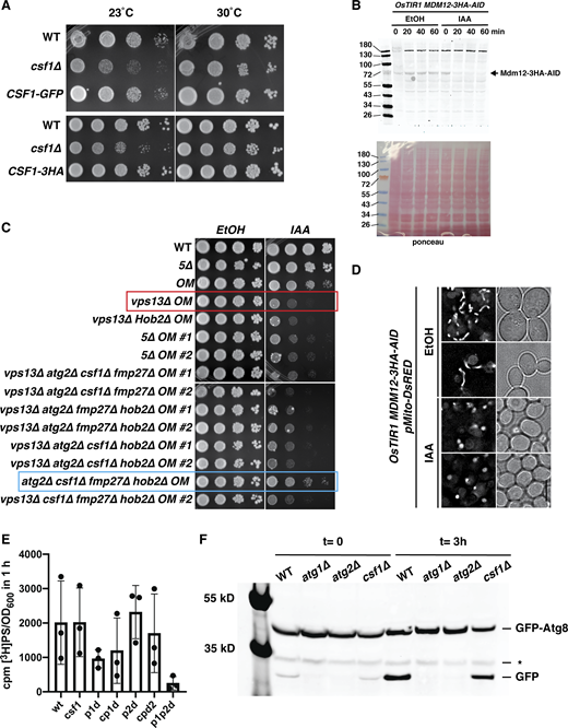 Figure S2. Refer to the image caption for details.