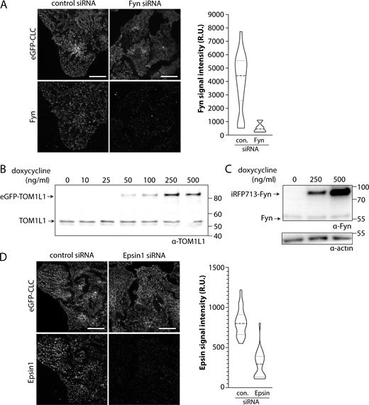 Figure S2. Refer to the image caption for details.