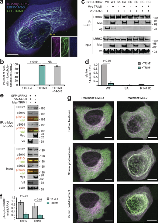 Figure 6. Refer to the image caption for details.