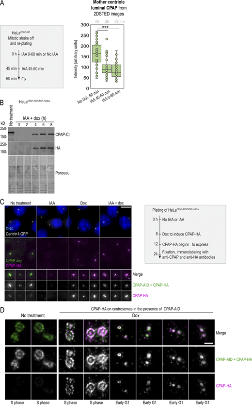 Figure S2. Refer to the image caption for details.