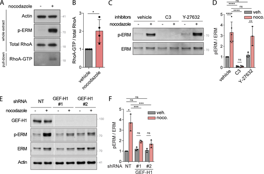 Figure 2. Refer to the image caption for details.