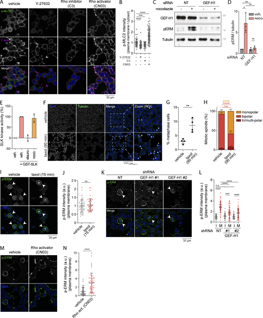 Figure S2. Refer to the image caption for details.