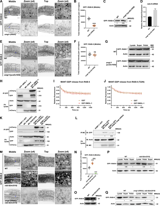 Figure S2. Refer to the image caption for details.