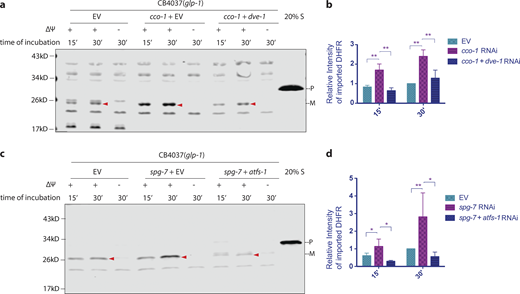 Figure 2. Refer to the image caption for details.