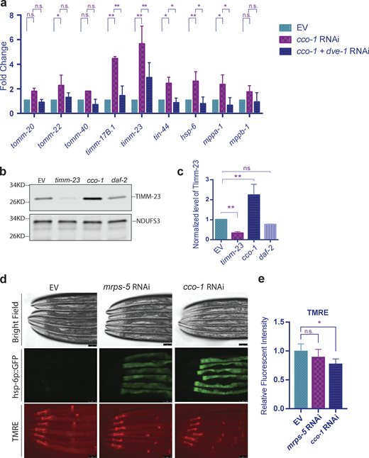 Figure 4. Refer to the image caption for details.
