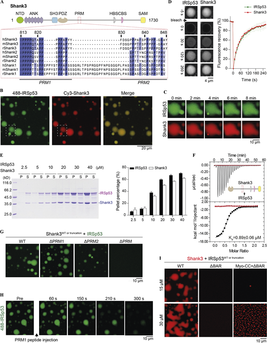 Figure 2. Refer to the image caption for details.