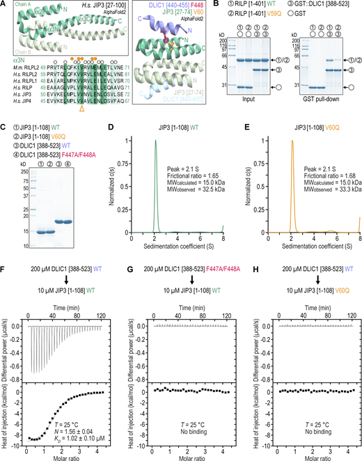 Figure 2. Refer to the image caption for details.