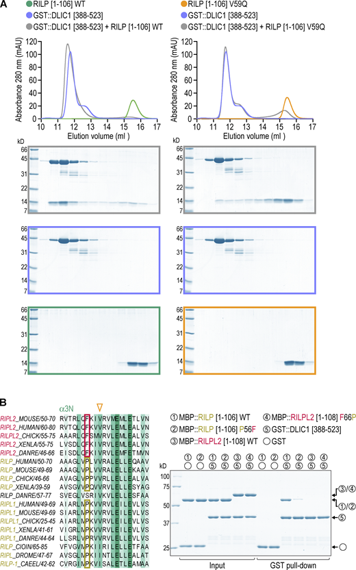 Figure S1. Refer to the image caption for details.