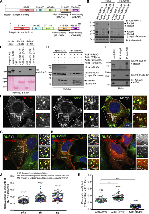 Figure 1. Refer to the image caption for details.