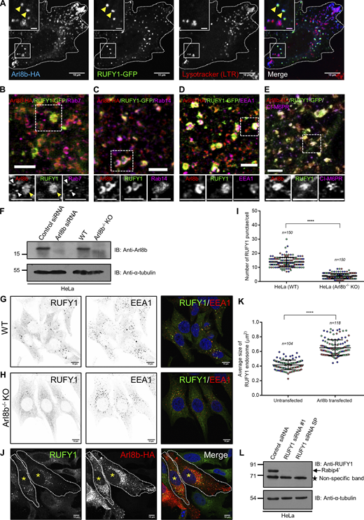 Figure S2. Refer to the image caption for details.