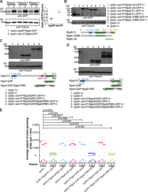 Figure S4. Refer to the image caption for details.