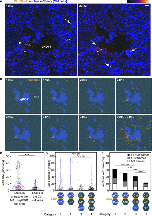 Figure 6. Refer to the image caption for details.