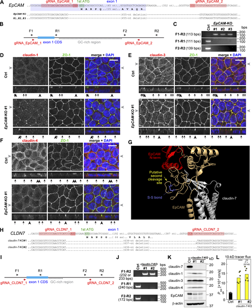 Figure S2. Refer to the image caption for details.