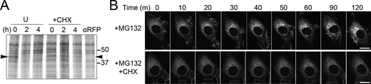 Figure S2. Refer to the image caption for details.