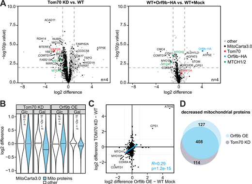 Figure 2. Refer to the image caption for details.