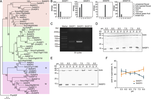 Figure S3. Refer to the image caption for details.