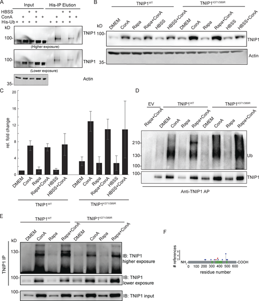 Figure S1. Refer to the image caption for details.