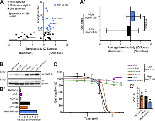 Figure 3. Refer to the image caption for details.