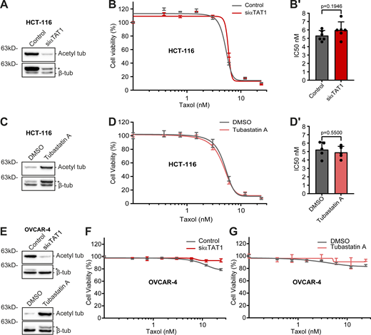 Figure 4. Refer to the image caption for details.
