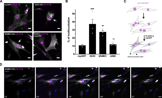Figure 1. Refer to the image caption for details.