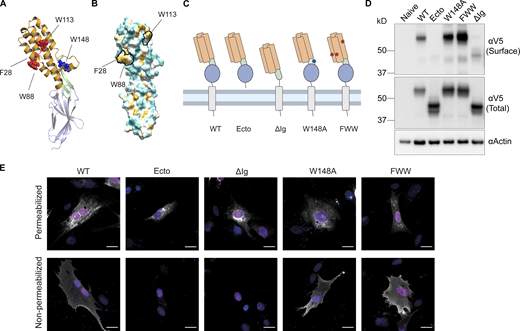 Figure 4. Refer to the image caption for details.