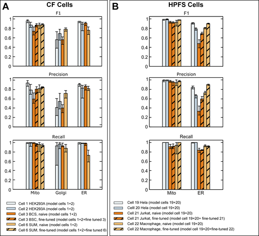 Comparison of validation metrics used to evaluate the prediction accuracy of neural models predicting mitochondria, ER, and Golgi apparatus. (A and B) Ground truth annotations from FIB-SEM volume data from the indicated cells at ∼5 nm isotropic resolution prepared by CF (A) or HPFS (B) were used for training to generate models for mitochondria, ER, and Golgi apparatus. The bar plots show F1, precision, and recall metrics obtained using ground truth annotations not used for training. These values are shown as averages from 20 training iterations spaced at 1,000 intervals, with respective error bars representing maximum and minimal values, calculated after ∼100,000 training iterations. The results also show metrics obtained after fine-tuning with a small number of additional training iterations using ground truth annotations from the naïve cell. Details of datasets, ground truth annotations, and models are summarized in Tables S4, S5, and S2. Refer to the image caption for details.