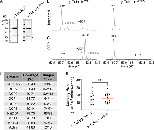 Figure S1. Refer to the image caption for details.