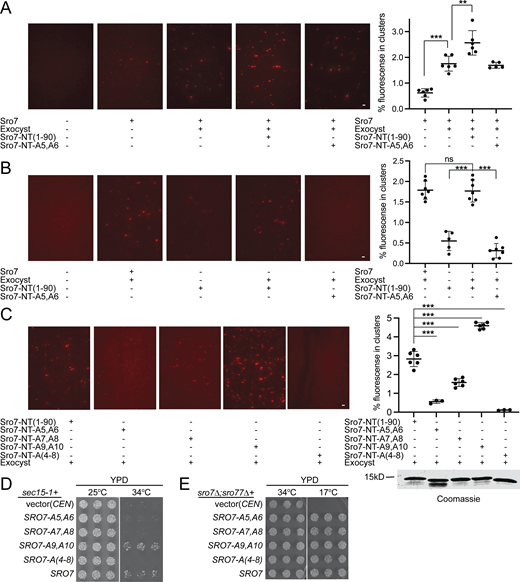 Figure 2. Refer to the image caption for details.