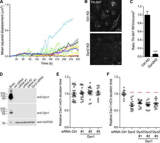 Figure S1. Refer to the image caption for details.