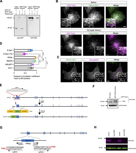 Figure S1. Refer to the image caption for details.