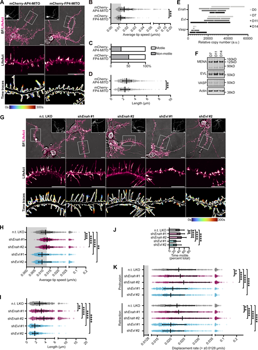 Figure 1. Refer to the image caption for details.