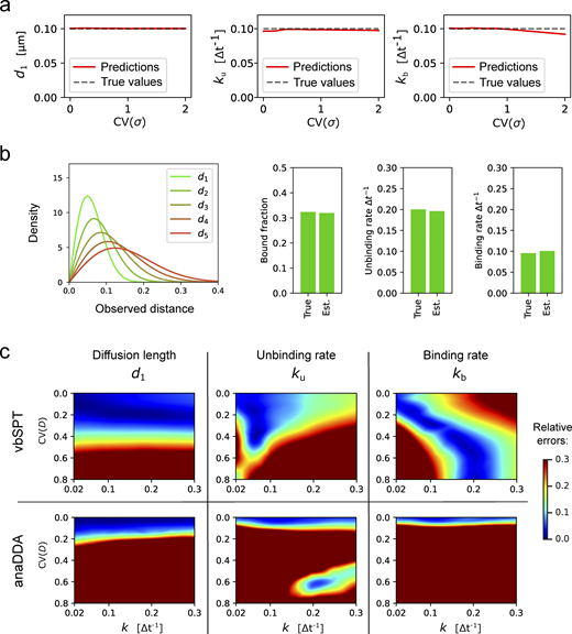 Robustness of ExTrack to biases due to wrong model assumptions. (a) Predictions of d1, ku, and kb in case of two-state parameter fits to two-state simulations with one immobile state and one diffusive state. Position at each time point show variable localization errors σ. Peak-wise localization errors were specified to the model. σ followed a chi-square distributions re-scaled so the mean localization error equals 0.02 µm (for sample distributions, see inset of Fig. 2 b). Simulations with d1 = 0.1 µm and k = ku = kb = 0.1Δt−1. 10 replicates per condition. ExTrack settings: window length = 7, no sub-steps. (b) We considered tracks from simulated particles with one immobile state (d0* = 0) and five diffusive states with similar diffusion lengths of values 0.04, 0.06, 0.08, 0.1, and 0.12 µm (corresponding to d* from 2 to 6), transition rates were set to randomly picked values (See Materials and methods, Computation simulation of tracks for more details on the transition rates values). This model results in indistinguishable diffusive tracks. Left: Distribution of displacements (for each dimension) of the five diffusive states. Right: Bar plots of true and estimated parameters obtained from fitting to a three-state model followed by aggregation of the diffusive states and computation of the resulting parameters. Here, the fractions are the global fractions computed from rates. See Table S2 for other results. (c) Heatmaps of relative errors on d1, ku, and kb with variable diffusion coefficient following the same protocol than in Fig. 2 b for vbSPT and anaDDA. Refer to the image caption for details.