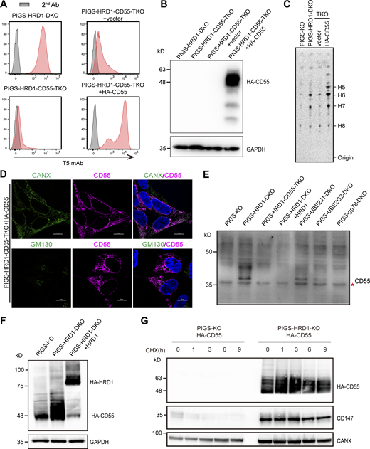 Figure 3. Refer to the image caption for details.