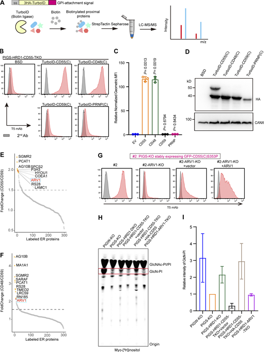 Figure 7. Refer to the image caption for details.