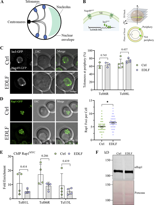Figure 2. Refer to the image caption for details.