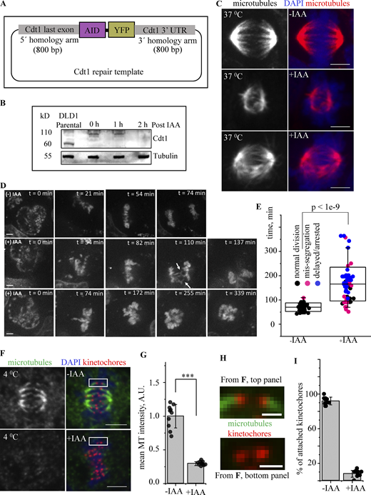 Figure 1. Refer to the image caption for details.