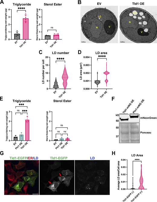 Figure 7. Refer to the image caption for details.